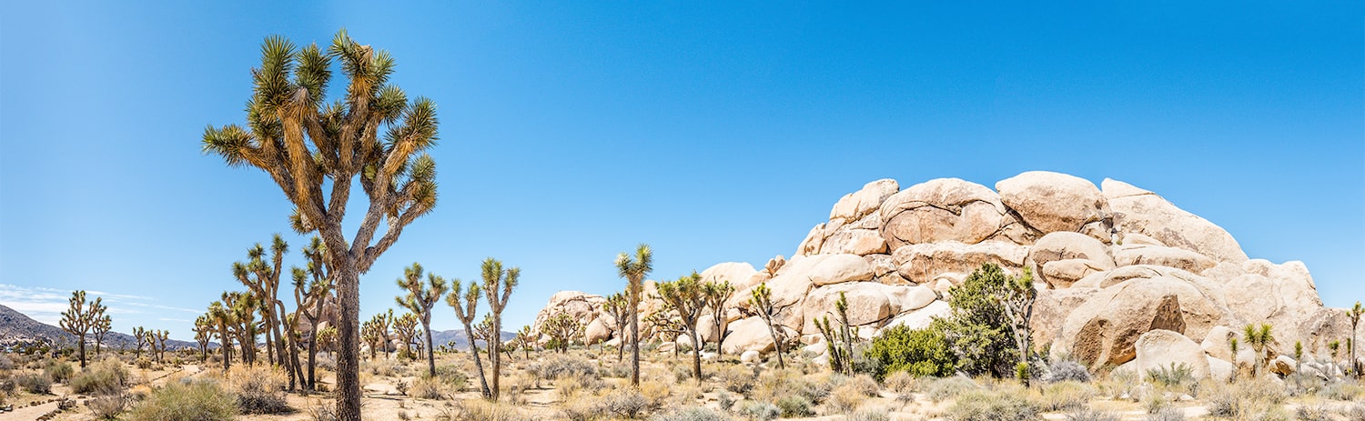 rocky desert landscape