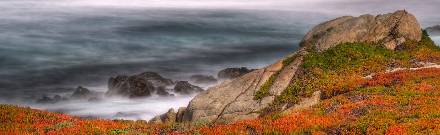 Rocks covered in red flowers overlooking ocean below